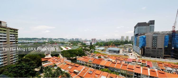 Spottiswoode Residences (D2), Condominium #212273571